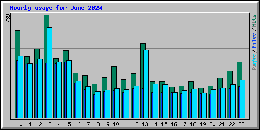 Hourly usage for June 2024