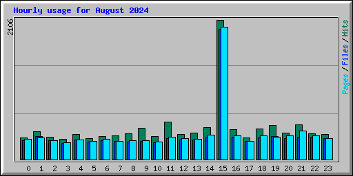 Hourly usage for August 2024