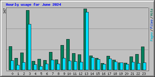 Hourly usage for June 2024